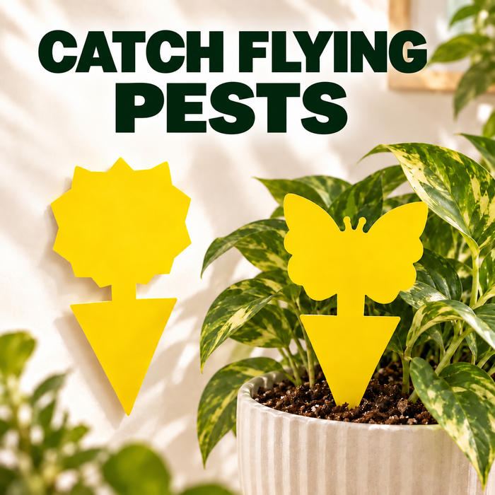 Autozife Sticky Insect Traps